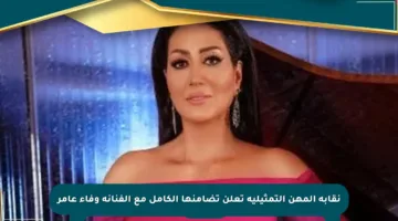 نقابة المهن التمثيلية تعلن تضامنها الكامل مع الفنانة وفاء عامر